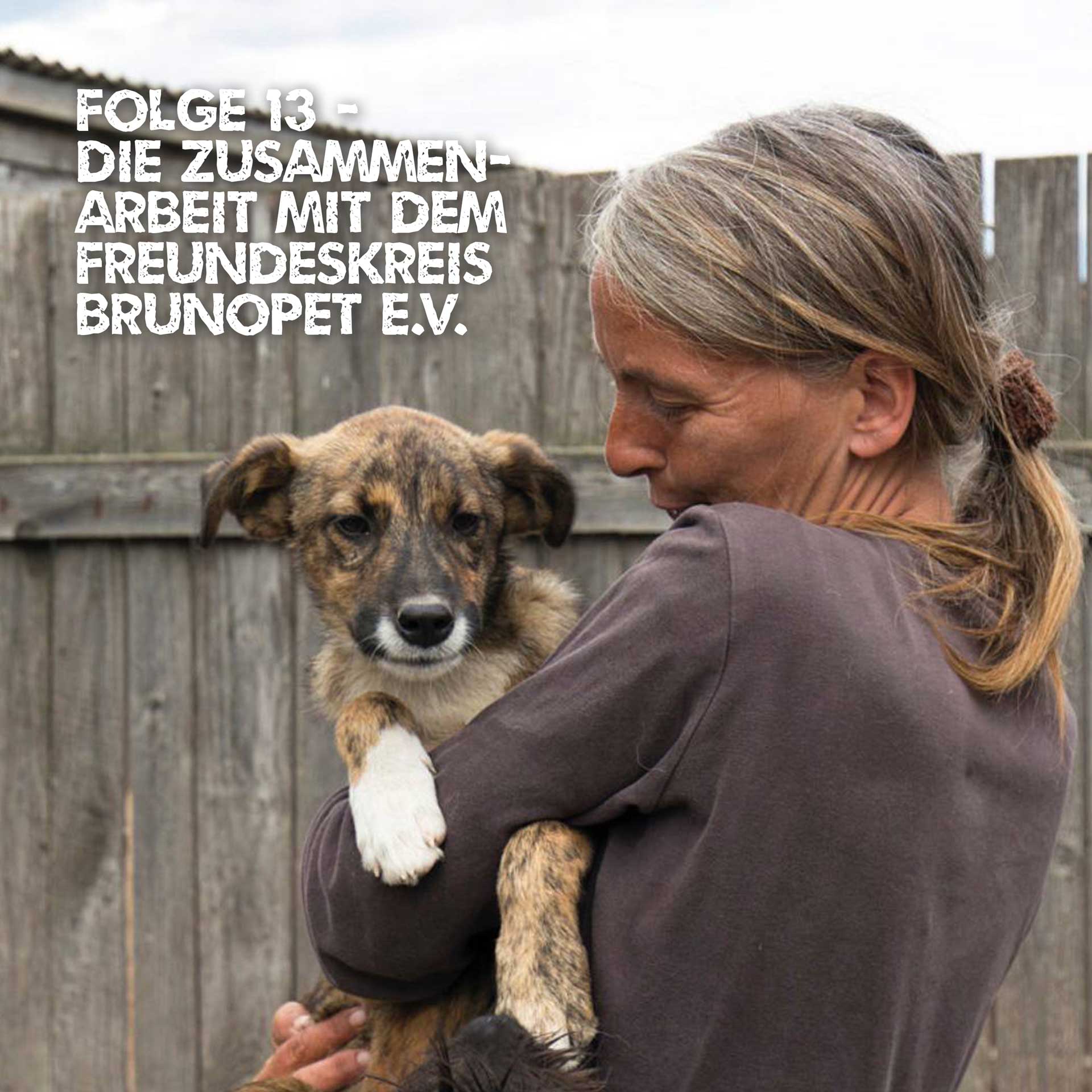 Voll Blut - Gespräche rund um den OP-Tisch - der Tierschutz-Podcast