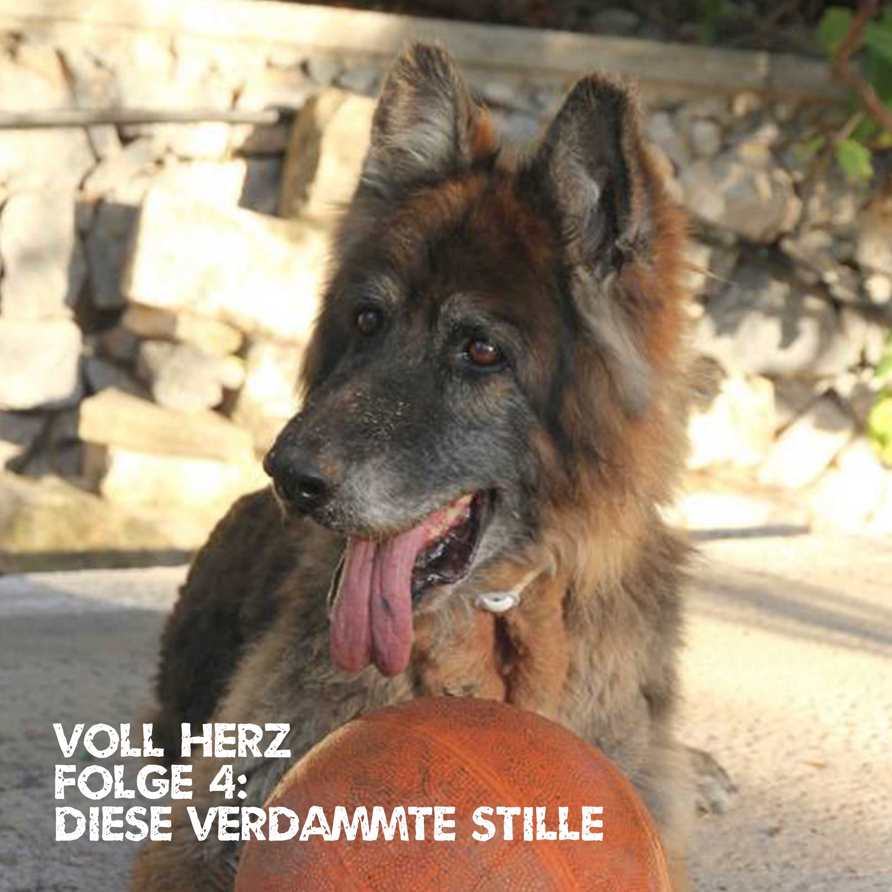 Folge 4 - Diese verdammte Stille episode artwork